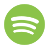 icons8 spotify 100 2
